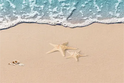 Foto: Strand Hintergrund
