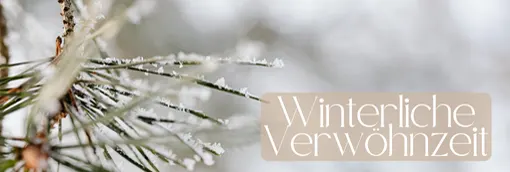 Foto: Winterliche Äste mit Frost