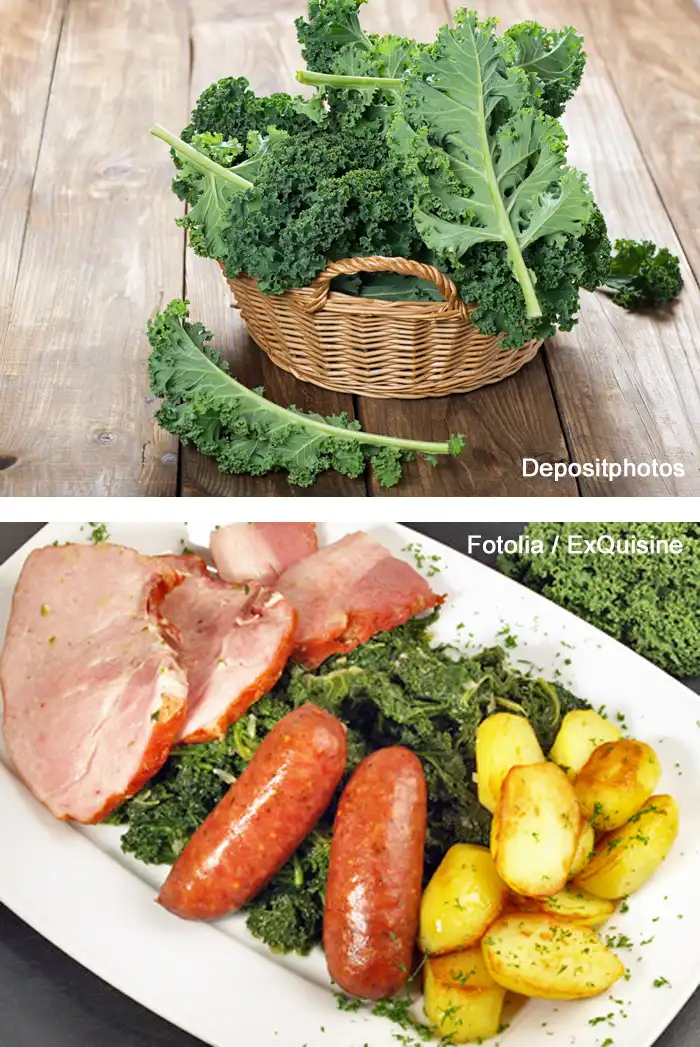 Grünkohl im Korb und Grünkohl-Menü mit Fleisch und Kartoffeln Zwei Fotos: Grünkohl im Korb und Grünkohl-Menü mit Fleisch und Kartoffeln