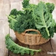 Foto: Grünkohl im Korb